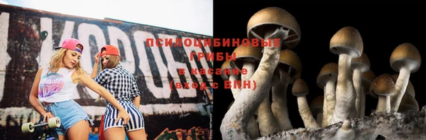 прущие грибы Волоколамск