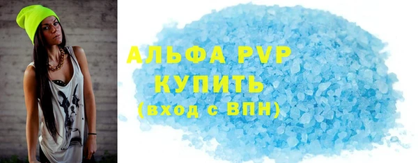 прущие грибы Волоколамск