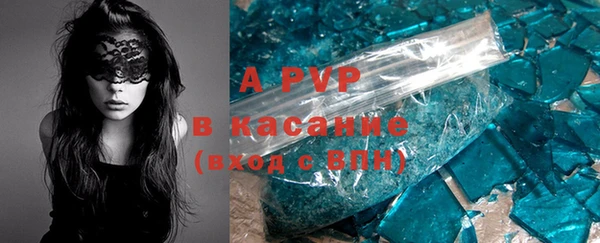 прущие грибы Волоколамск