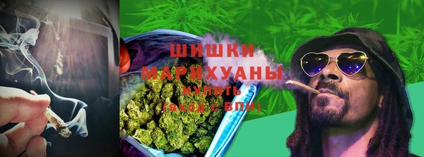 прущие грибы Волоколамск