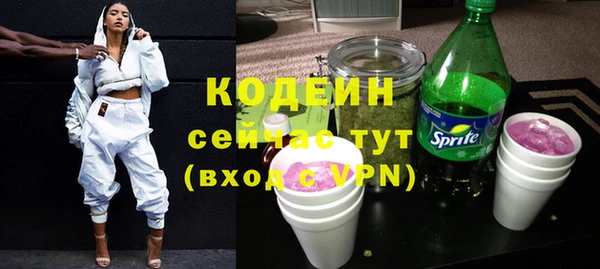 прущие грибы Волоколамск
